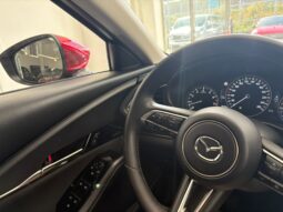 MAZDA CX-30 EXCLUSIVE LINE 2.5 HYBRID 140CV pieno